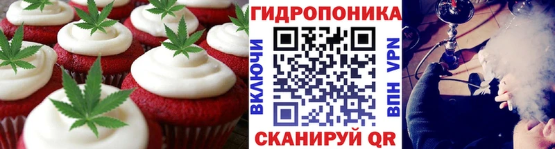 Купить закладки  Бородино  Cannafood марихуана 